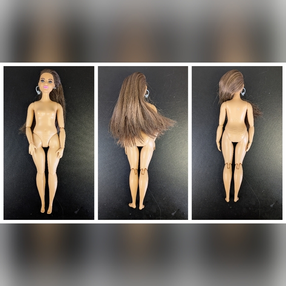 Barbie | Nude Doll Lot, Variety of Body Sizes, Skin Tones, and Hair Types - Picture 10 of 11